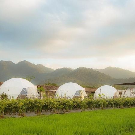 Borobudur Luxury Glamping Magelang Buitenkant foto