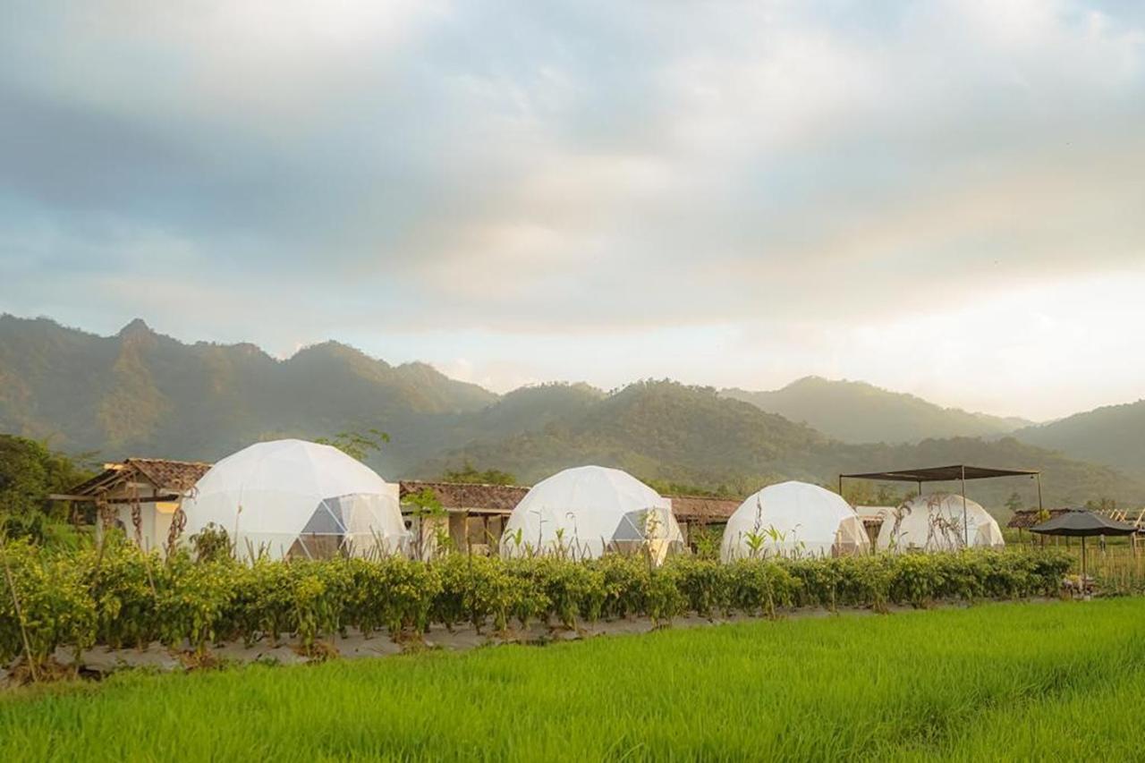 Borobudur Luxury Glamping Magelang Buitenkant foto
