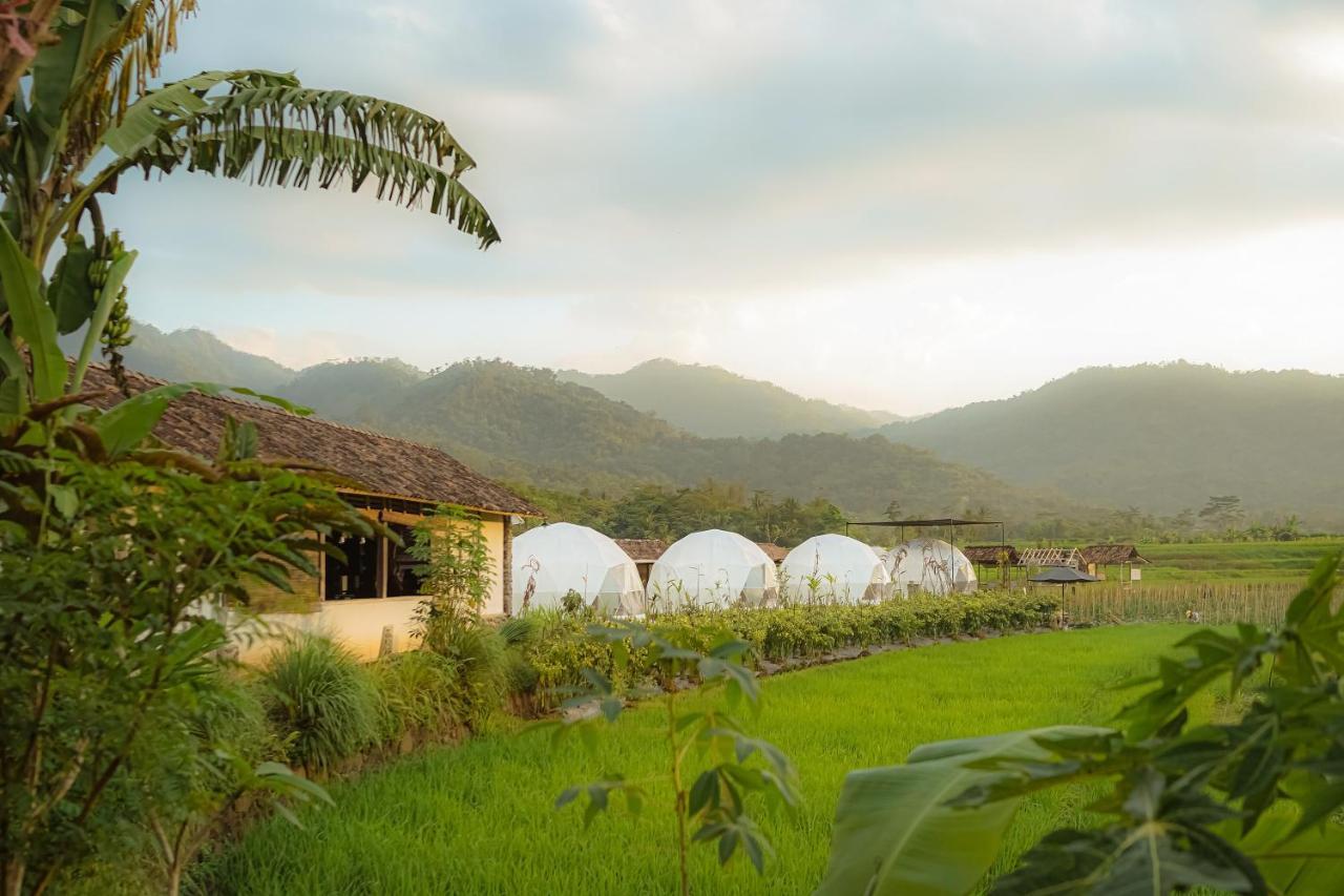 Borobudur Luxury Glamping Magelang Buitenkant foto